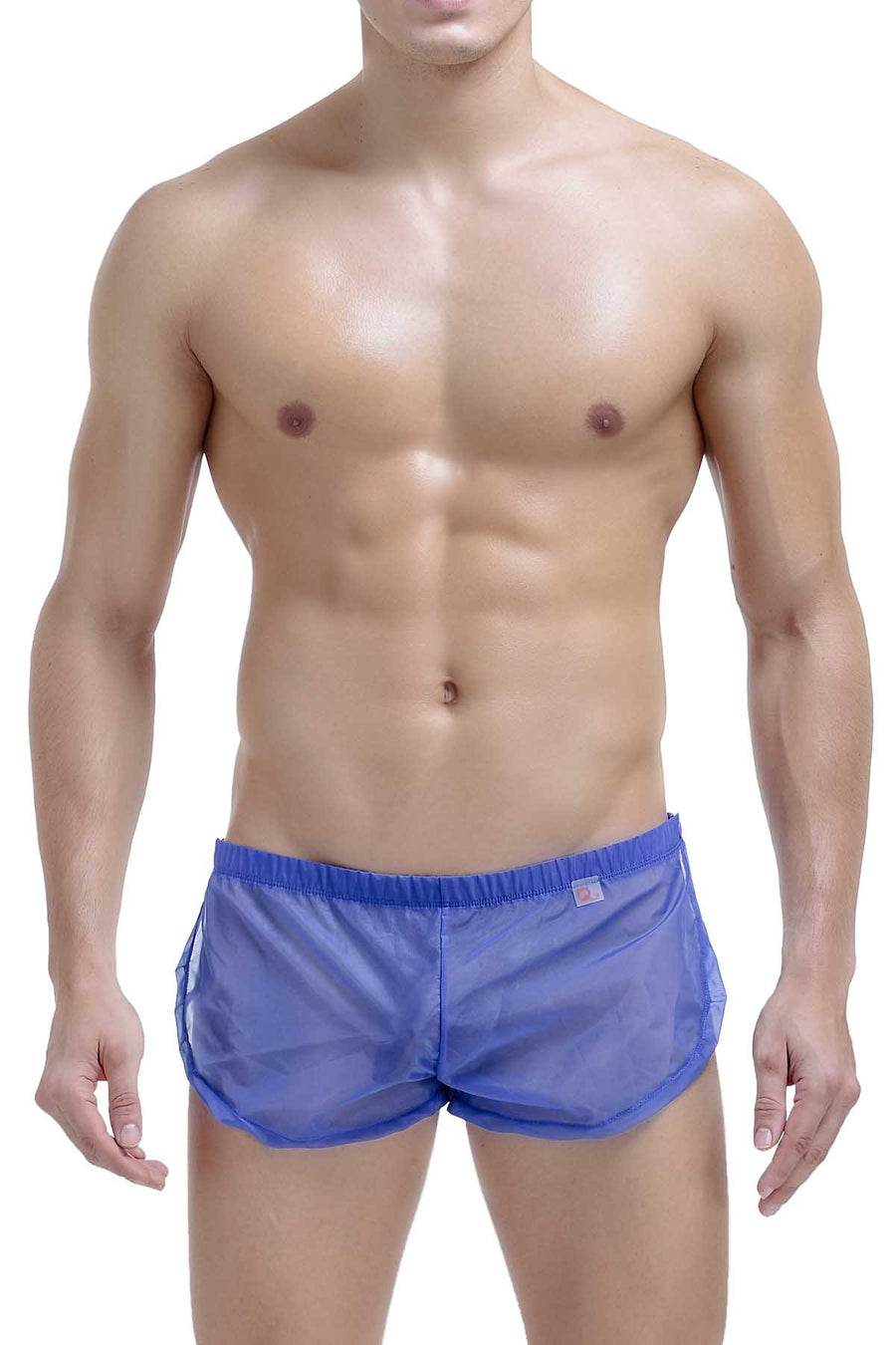 PetitQ Blue Sheer Snap Short