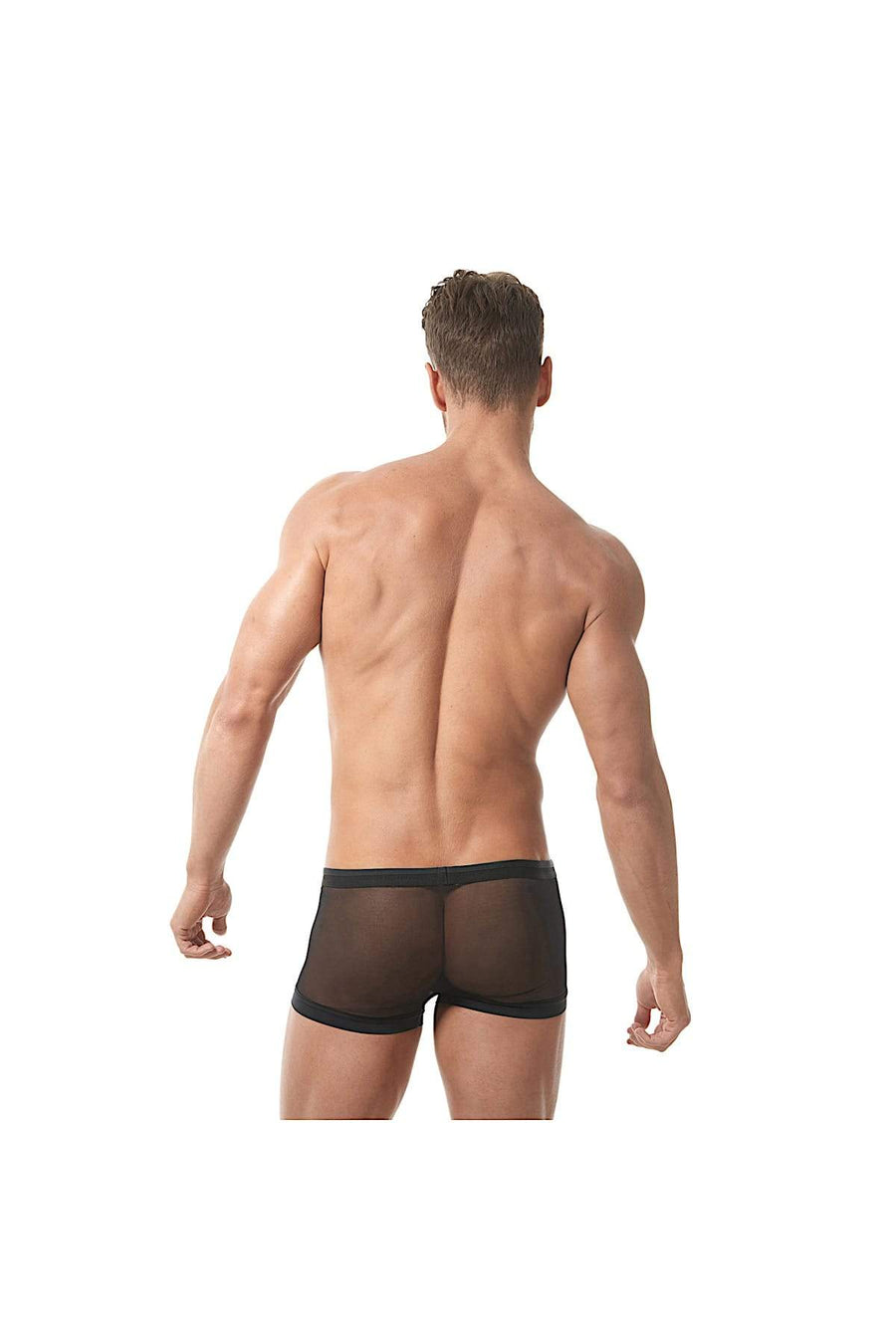 Gregg Homme Black Lust Mesh Velvet Trunk