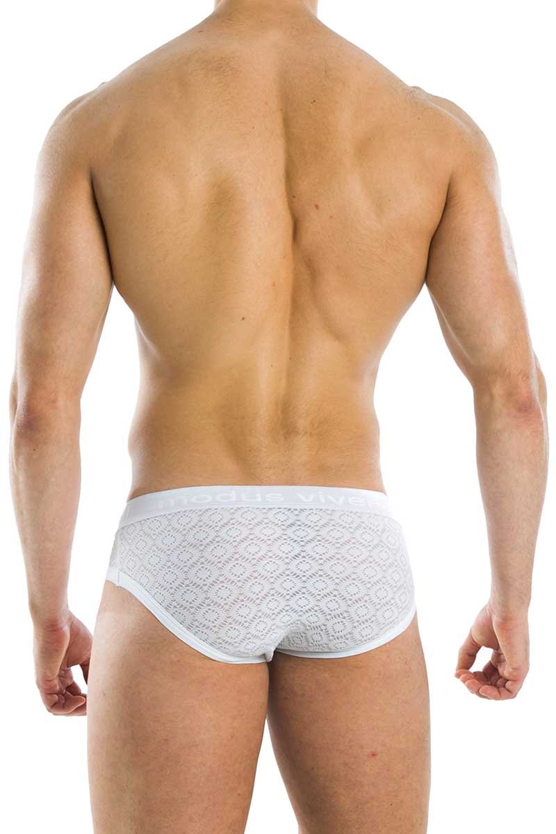 Modus Vivendi White Geo Brief