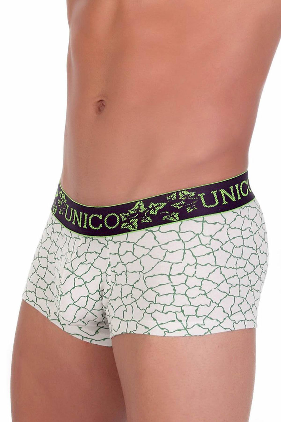 Unico Beige & Green Relieve Trunk