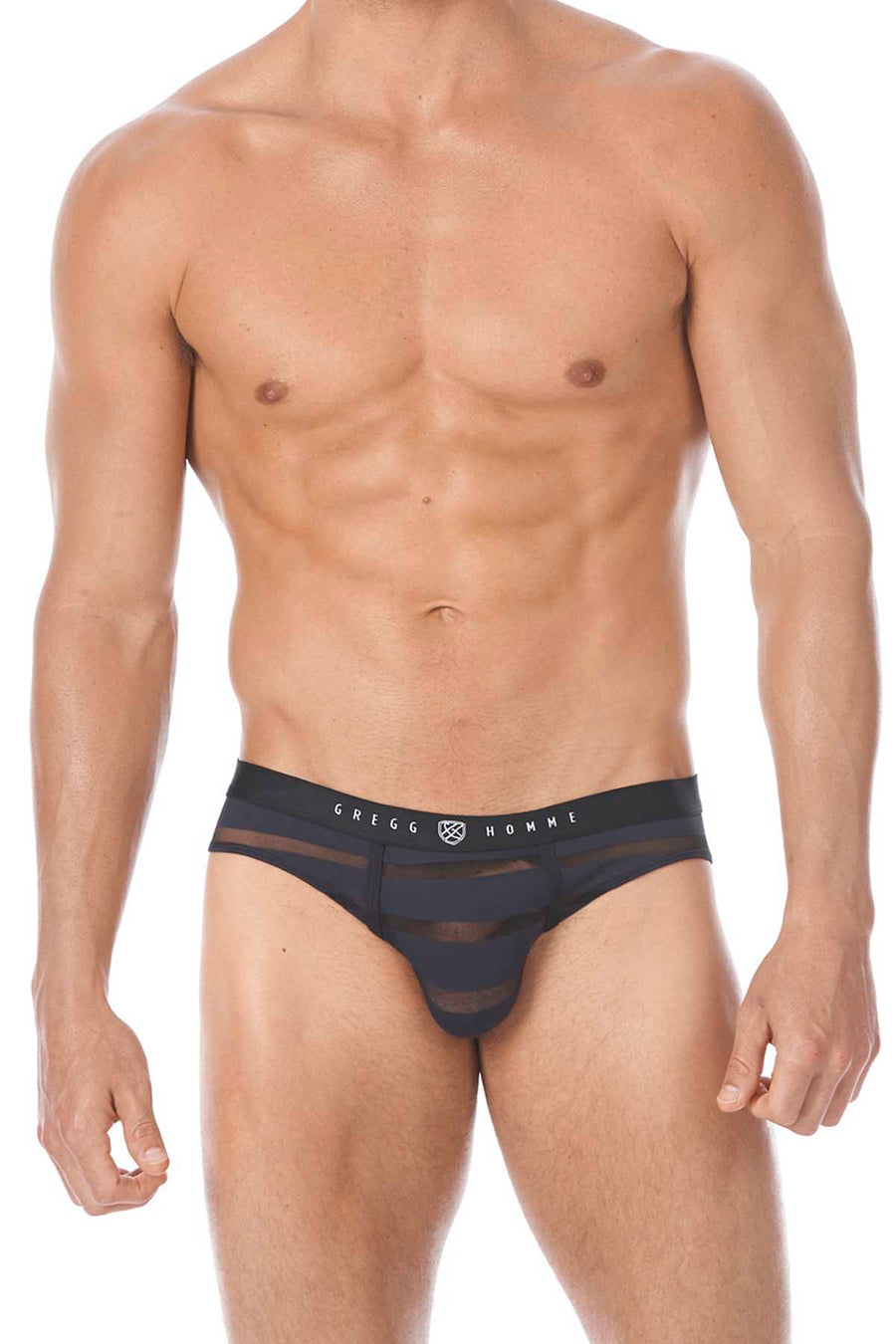 Gregg Homme Black Mesh Encore Waistband Briefs