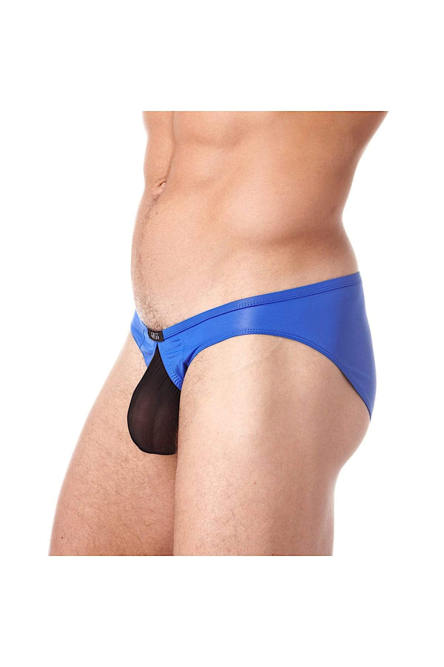 Gregg Homme Royal Blue Booster Brief