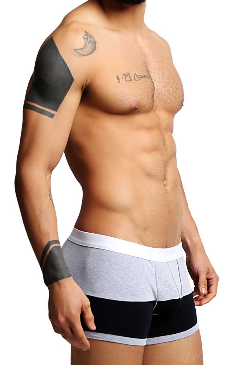 Jam Grey & Black Trunk