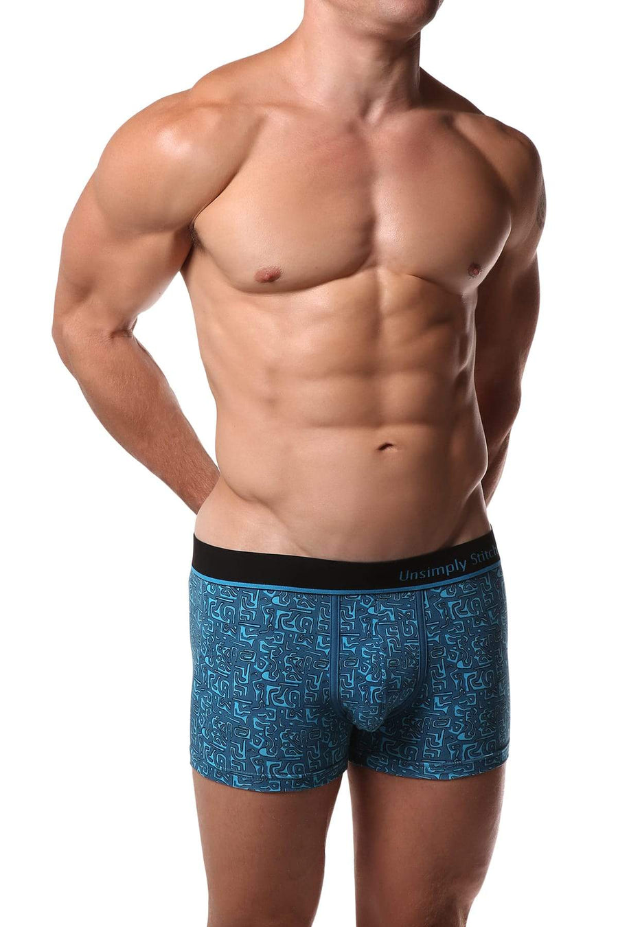 Unsimply Stitched Blue Aztec Trunk