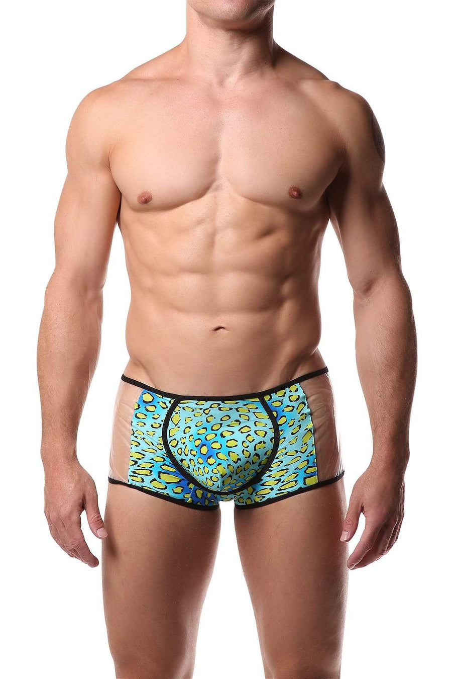 Naughty Boy Multi Animal Trunk
