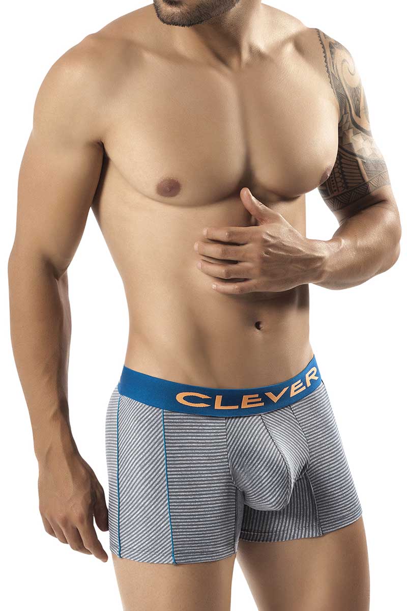 Clever Grey Isernia Latin Boxer