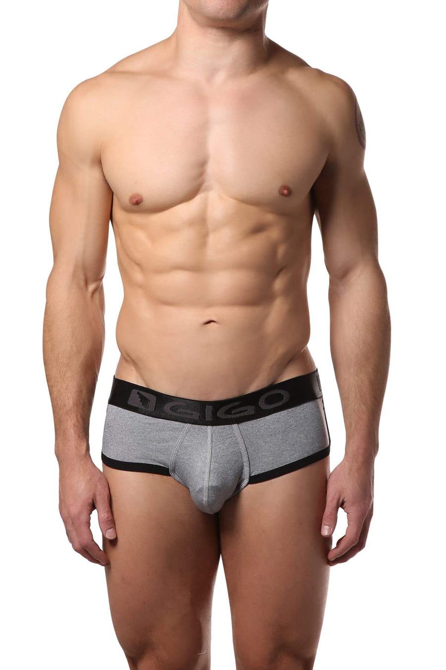 Gigo Grey Pattern Brief