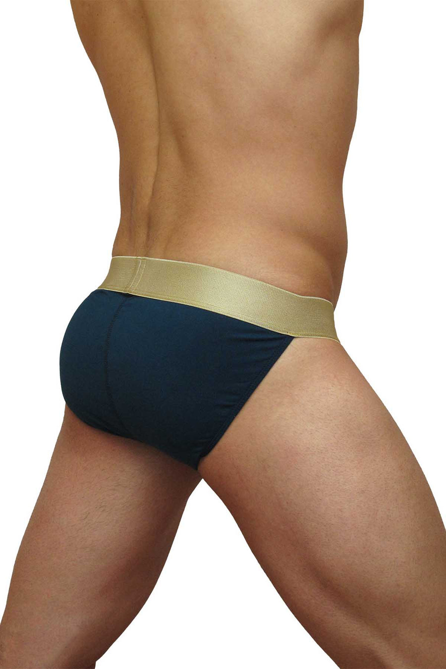 Ergowear Turquoise/Gold Max Suave Bikini