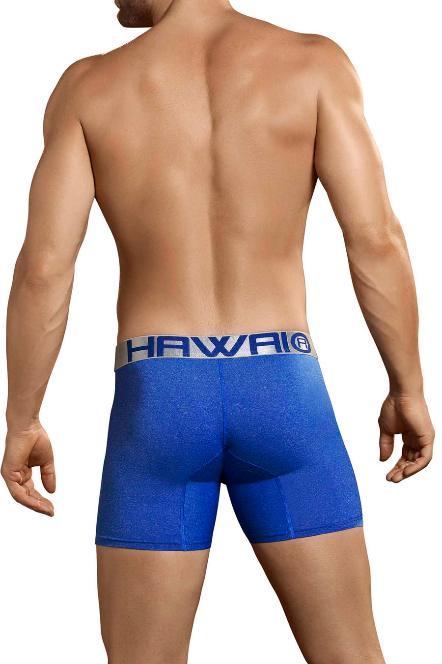 Hawai Blue Marled Boxer