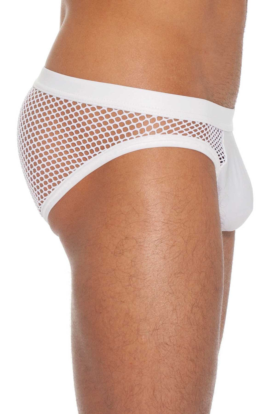 Gregg Homme White Beyond Doubt Brief