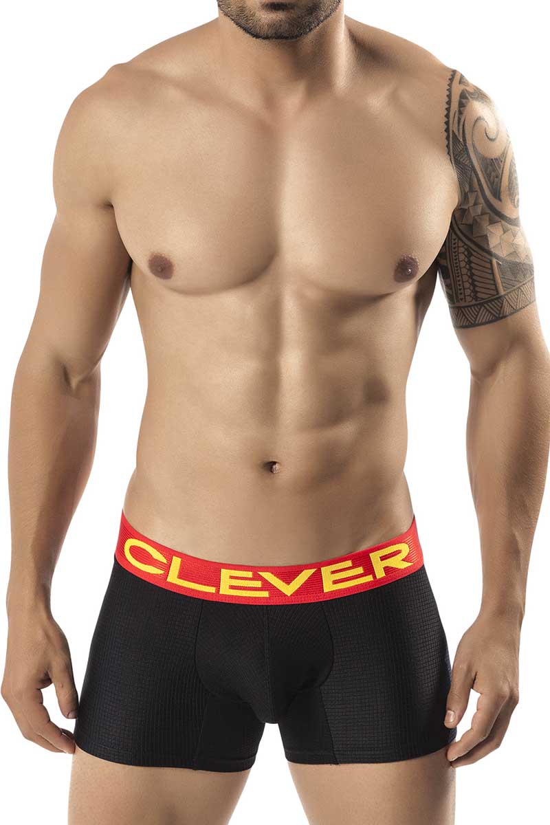 Clever Black Burdeos Latin Boxer