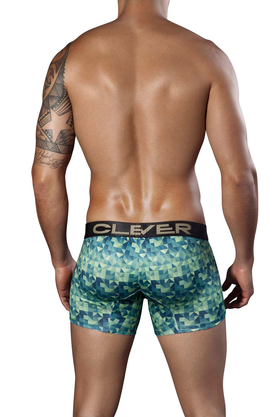 Clever Green Background Boxer