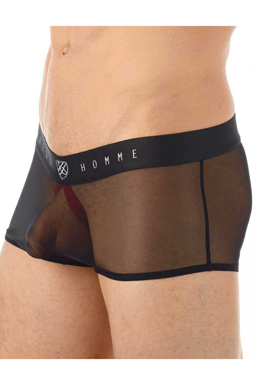 Gregg Homme Black Erotik Ultra Sheer Mesh C-Ring Boxer Trunk