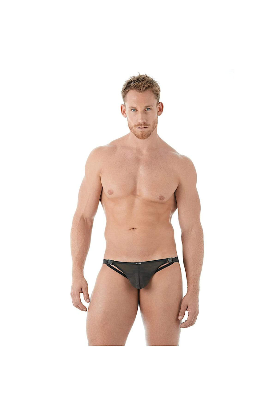Gregg Homme Black Mesh Suspender C-Ring Brief