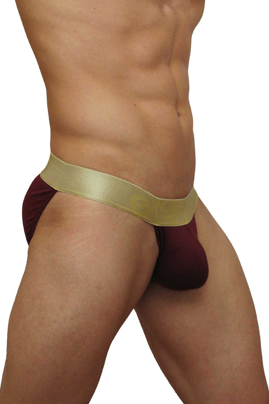 Ergowear Burgundy/Gold Max Suave Bikini