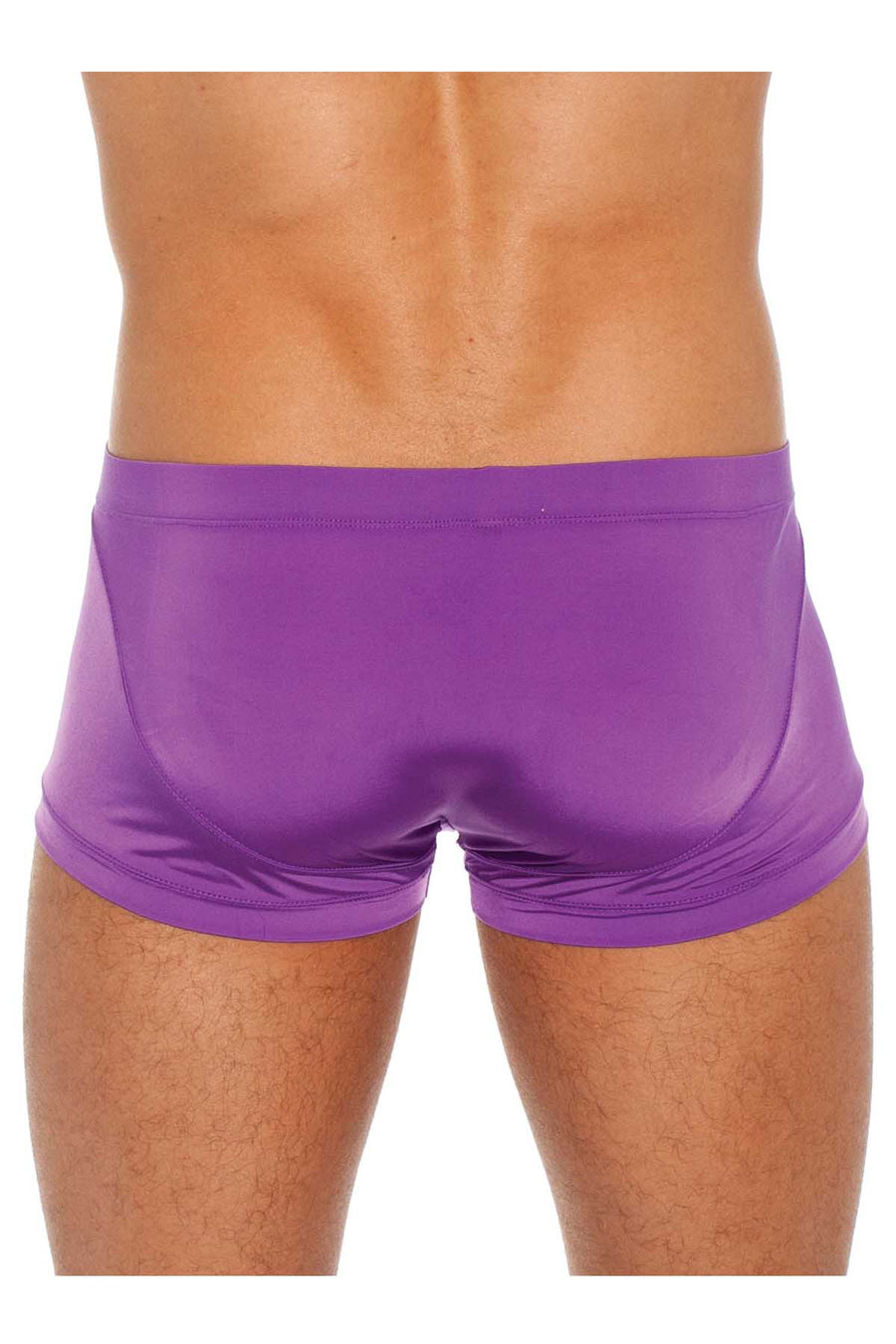 Gregg Homme Purple Wonder Microfiber Low-Rise Boxer Trunk